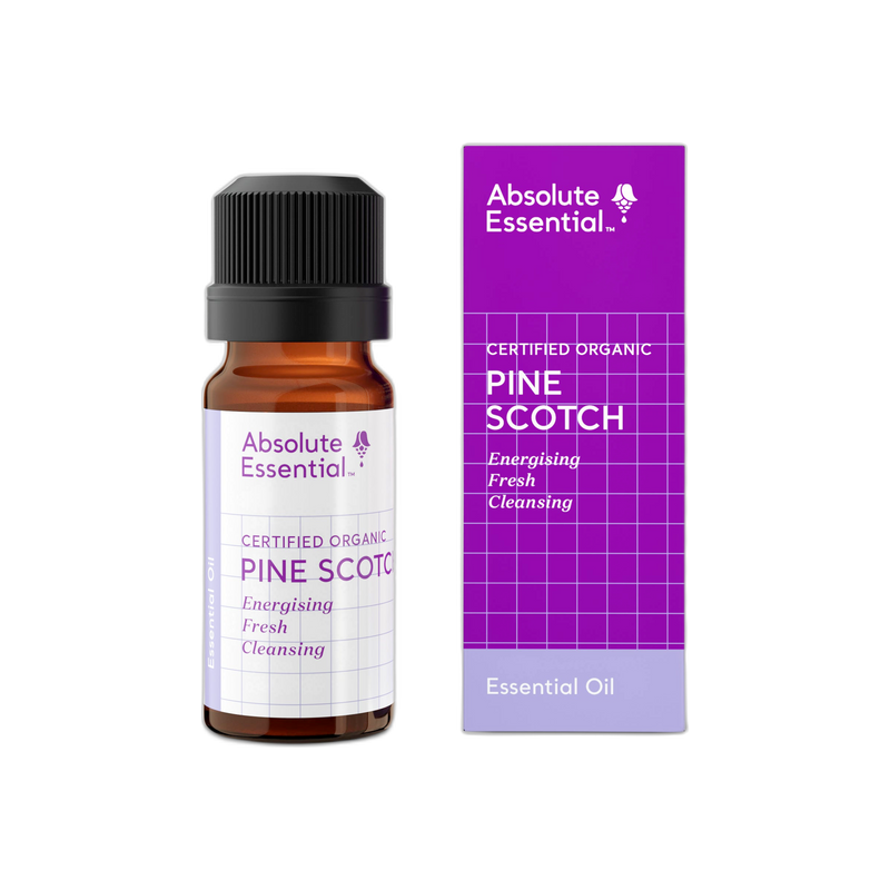 Pine Scotch 10ml