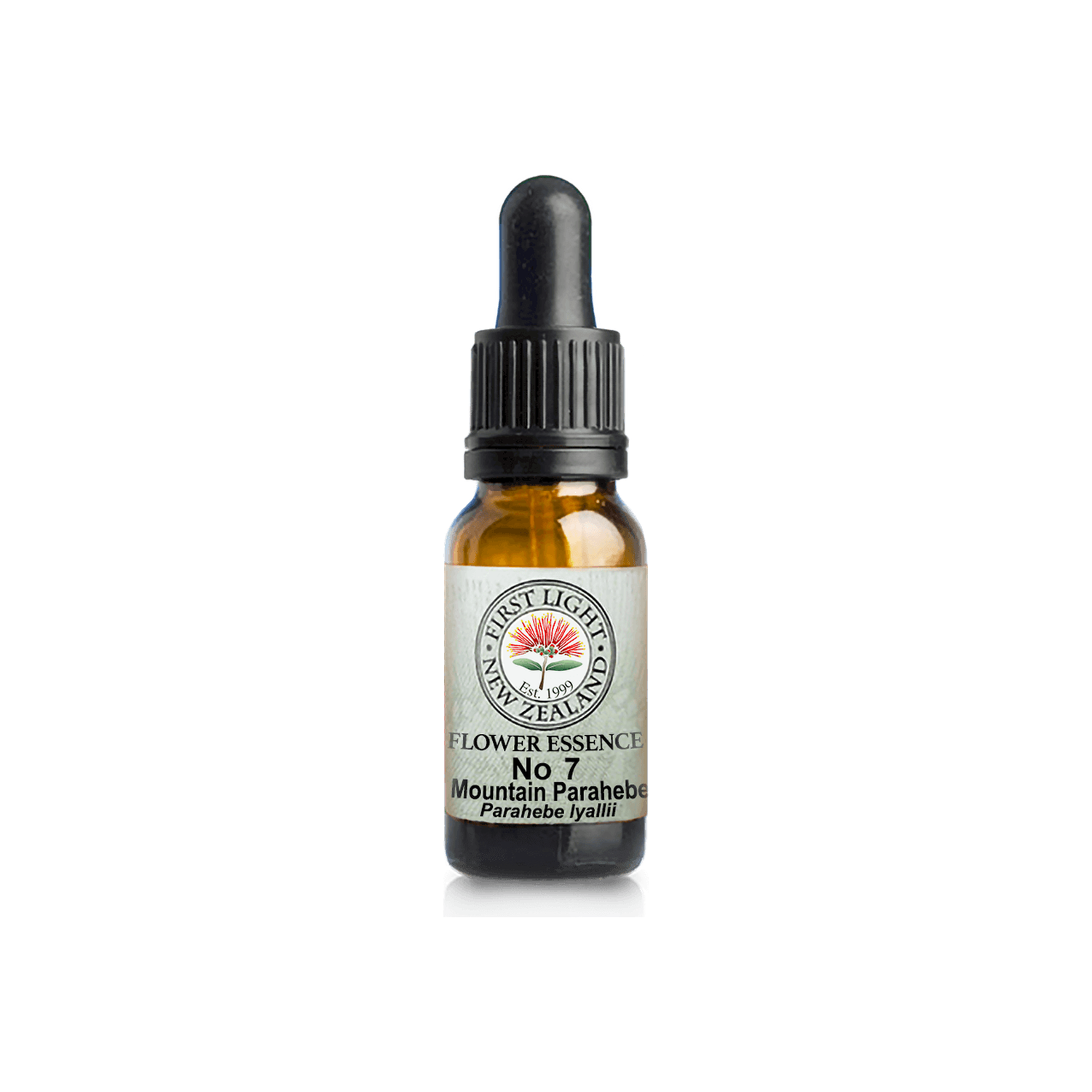 No. 07 - Mountain Parahebe (Communication) 10ml