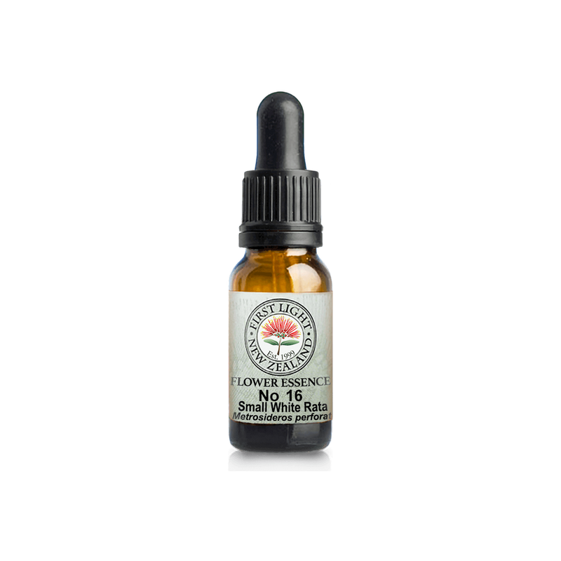 No. 16 - Small White Rata (Perfection) 10ml