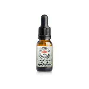 No. 35 - Creeping Pratia (Empathy) 10ml