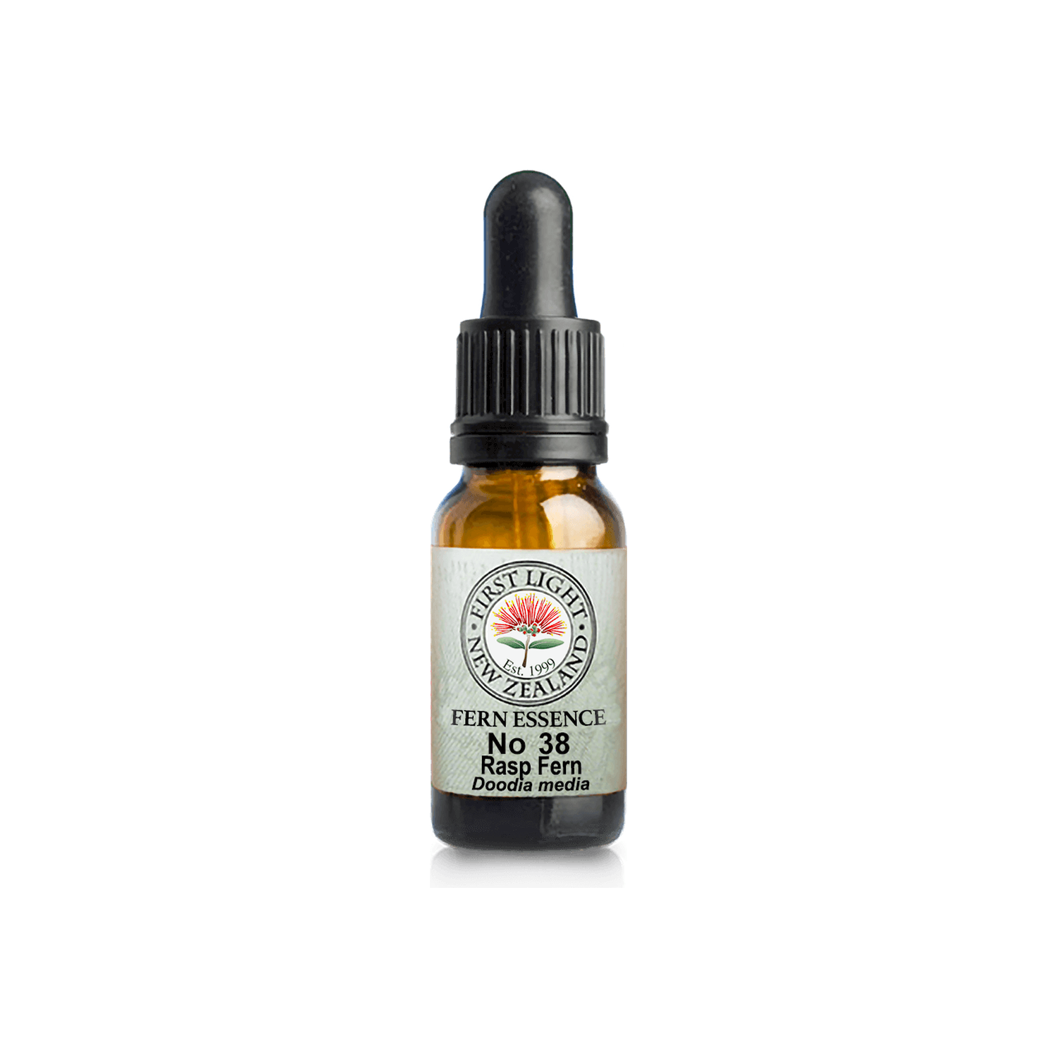 No. 38 - Rasp Fern (Boundaries) 10ml