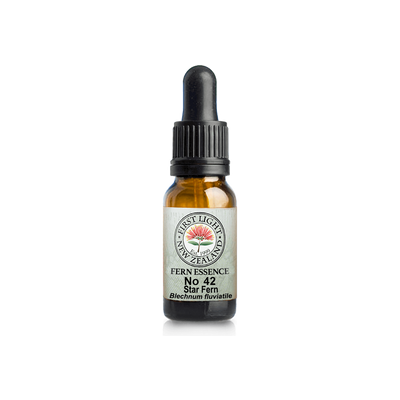 No. 42 - Star Fern (Authenticity) 10ml