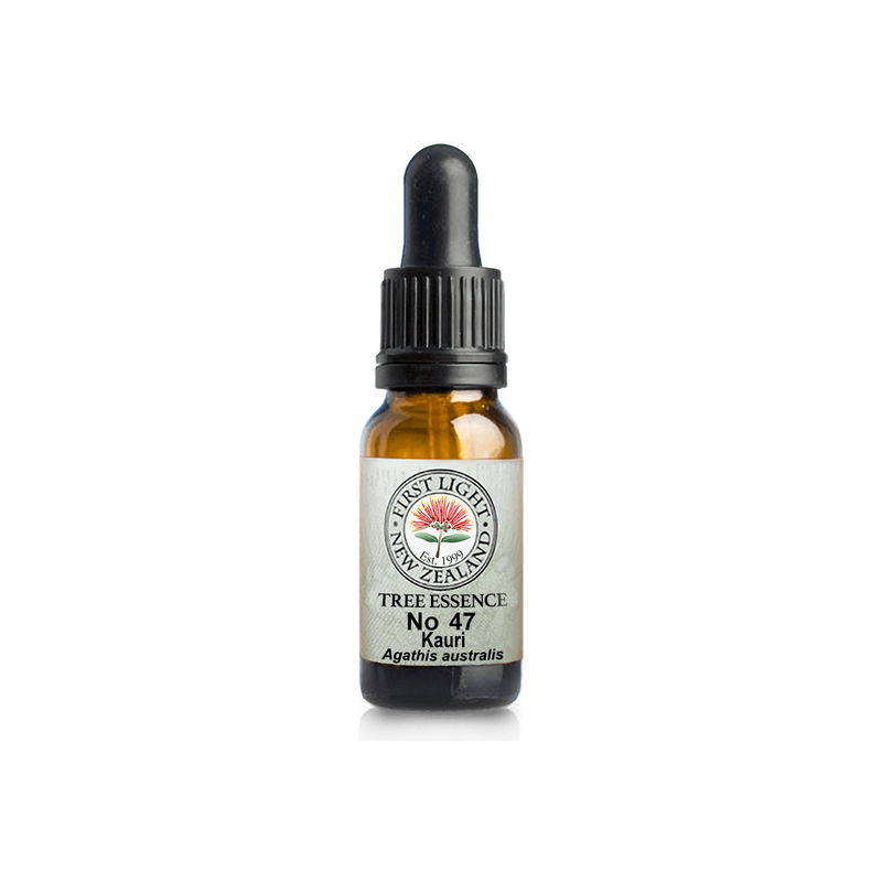 No. 47 - Kauri (Beauty) 10ml