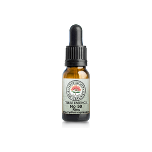 No. 50 - Rimu (Connection) 10ml