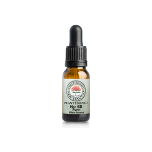 No. 68 - Puriri (Discernment) 10ml