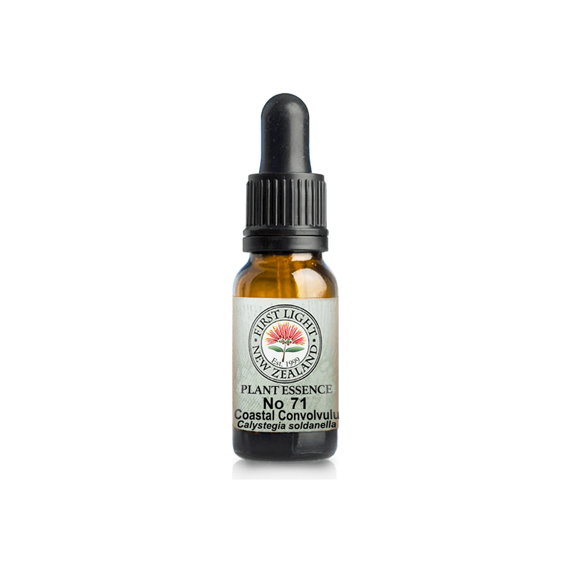 No. 71 - Coastal Convolvulus (Reflection) 10ml