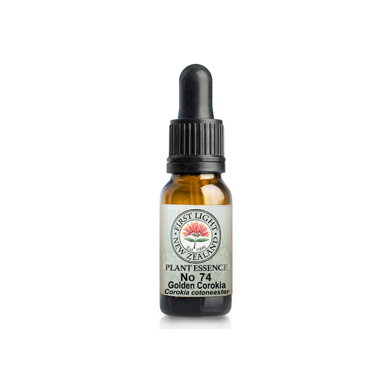No. 74 - Golden Corokia (Grace) 10ml