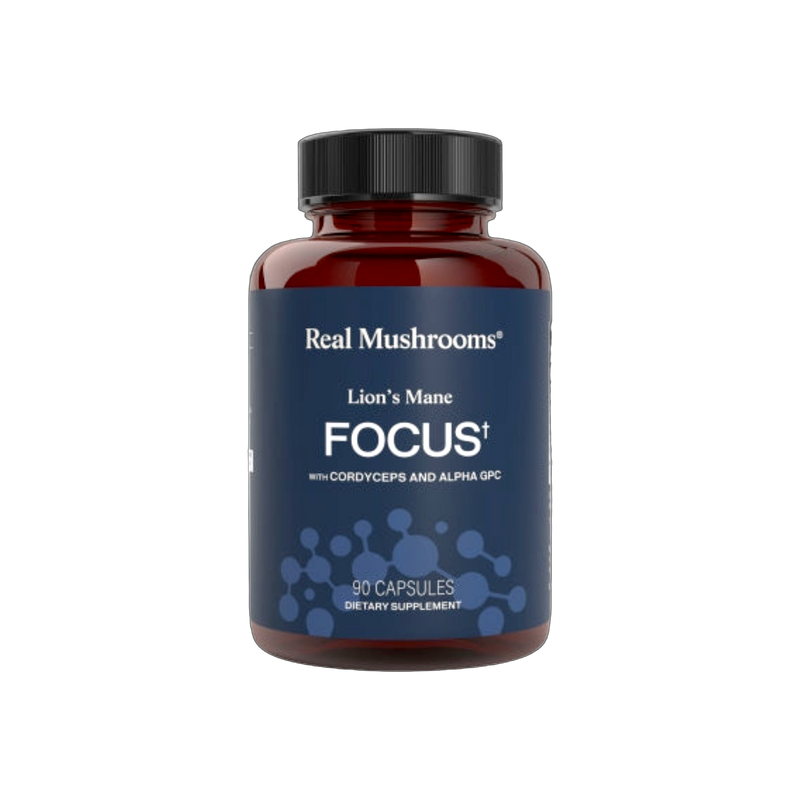 Lion's Mane Focus