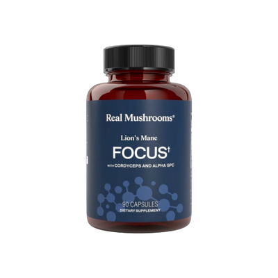 Lion's Mane Focus