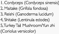 Supplement facts for 5 Mushroom Blend 1:2 - 500ml listing ingredients including Cordyceps, Cordyceps sinensis, Ganoderma Lucidum, Grifola frondosa, Lentinula edodes