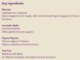 Supplement facts for Immune Care 10ml listing ingredients including Lavender Extract, Tea tree oil (Melaleuca alternifolia), Thyme (Thymus vulgaris)