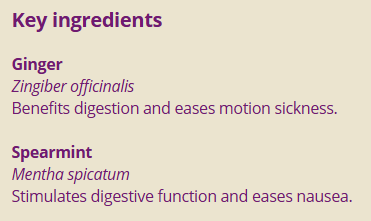 Supplement facts for Morning Balance 10ml listing ingredients including Ginger, Ginger (Zingiber officinale), Spearmint (Mentha spicata), Zingiber officinale