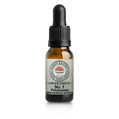 A supplement container of No. 01 - Pohutukawa (Initiative)  10ml by First Light Flower Essences