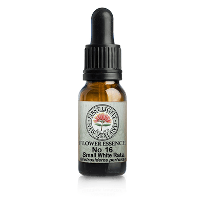 A supplement container of No. 16 - Small White Rata (Perfection) 10ml by First Light Flower Essences