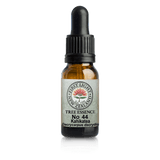 A supplement container of No. 44 - Kahikatea (Structure) 10ml by First Light Flower Essences