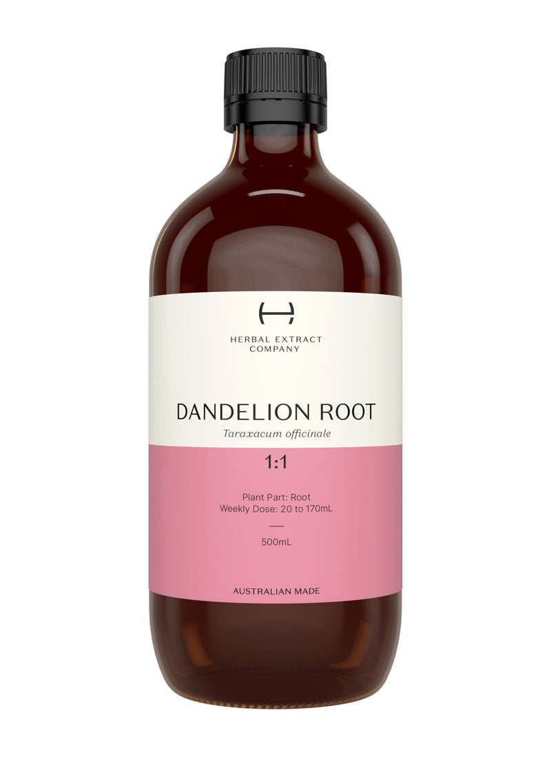 A supplement container of Dandelion Root 1:1 by Herbal Extract Company