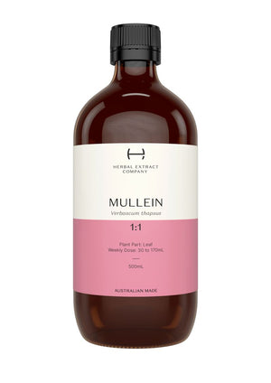 A supplement container of Mullein 1:1 by Herbal Extract Company