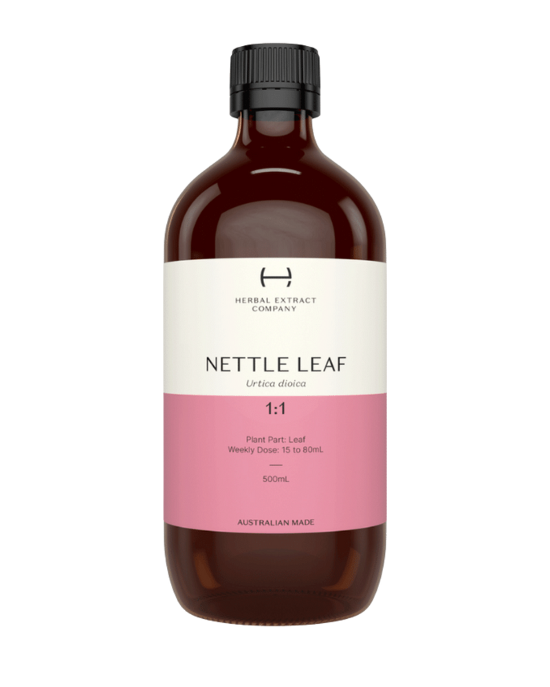 A supplement container of Nettle Leaf 1:1 by Herbal Extract Company