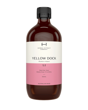 A supplement container of Yellow Dock 1:1 by Herbal Extract Company