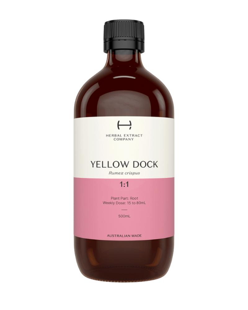 A supplement container of Yellow Dock 1:1 by Herbal Extract Company
