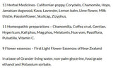 Supplement facts for SleepDrops for Kids listing ingredients including Chamomile, Coffea cruda, Corydalis Turtschinovii, Ethanol, First Light Flower Essences Of New Zealand