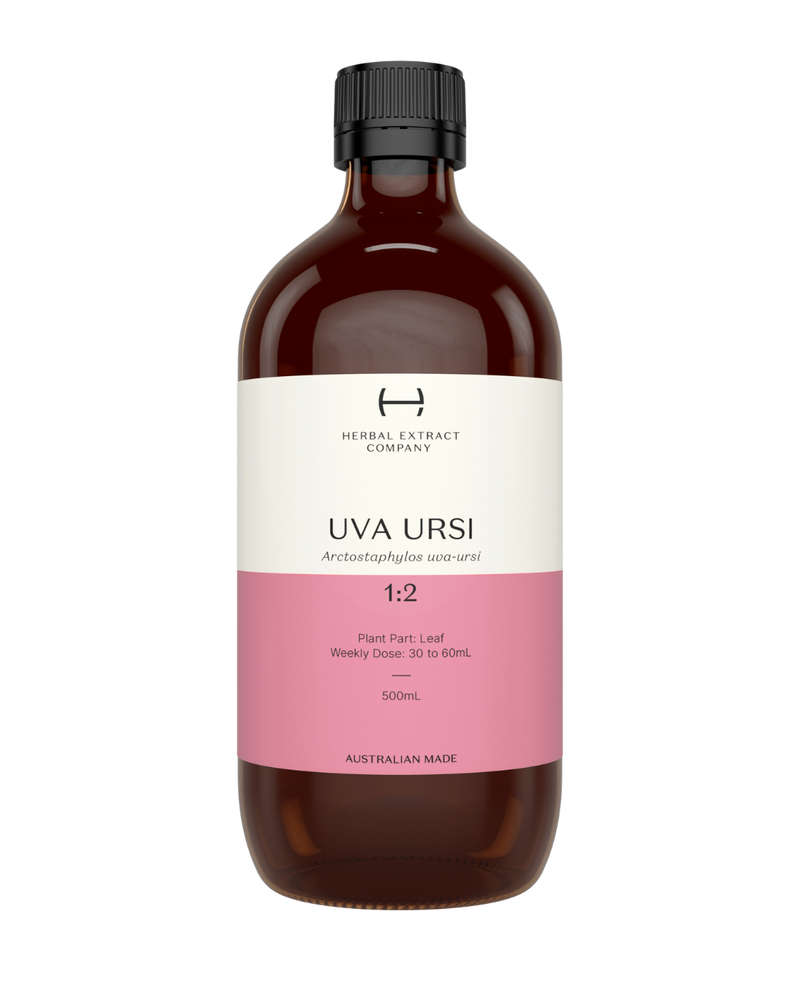 A supplement container of Uva Ursi 1:2 by Herbal Extract Company
