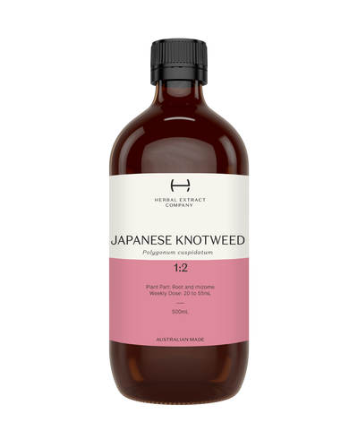 A supplement container of Japanese Knotweed by Herbal Extract Company