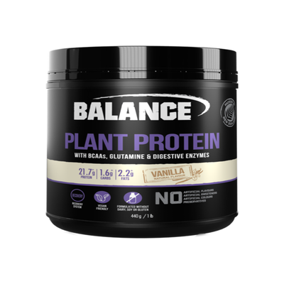 Plant Protein Powder 400gm