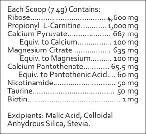 Supplement facts for Mito-Charge Powder by RN Labs