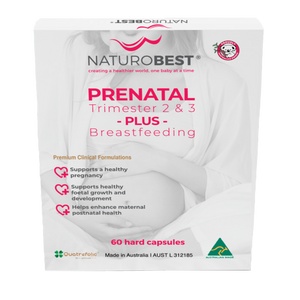 A Supplement container with the name Prenatal Trimester 2 & 3 Breastfeeding by Naturobest